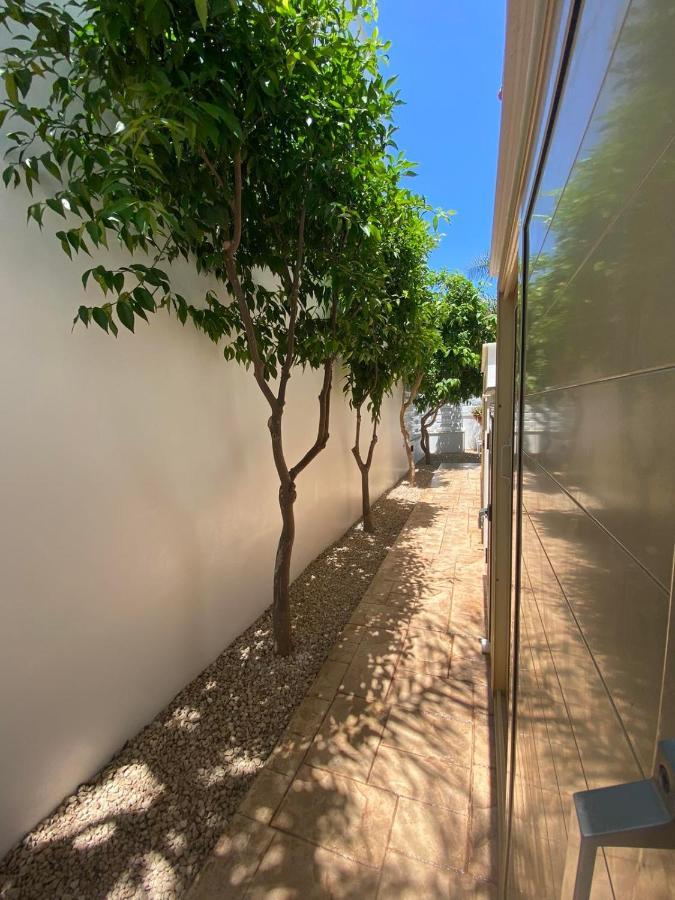 Angel - Exotic 200m From Paralimni